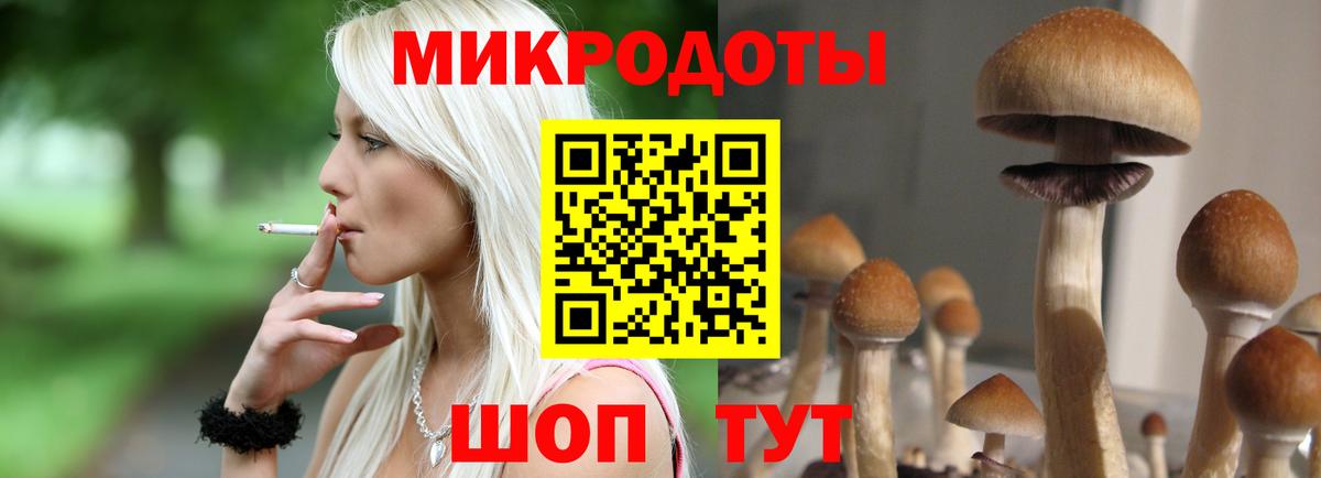 Псилоцибиновые грибы GOLDEN TEACHER Лобня